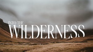 Into The Wilderness